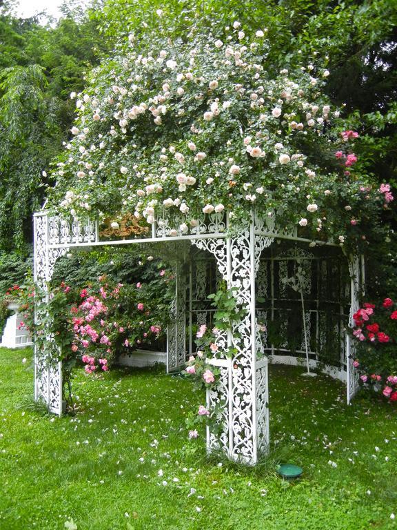 The Melange Inn 헨더슨빌 외부 사진